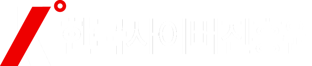 한국사이버진흥원